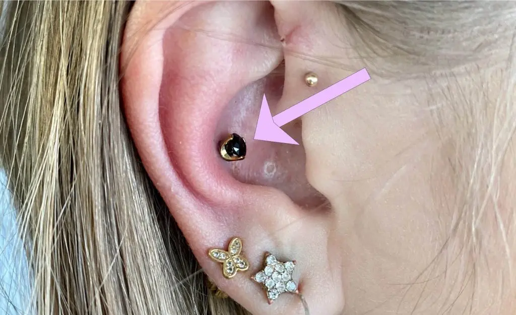 conch piercing